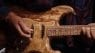Cuervo Fender Agave Stratocaster