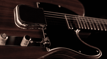 Fender Custom Shop George Harrison Telecaster CITES 2017 laws