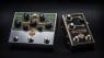 Beetronics Royal Jelly and Buzzter pedals