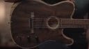 Fender American Acoustasonic Telecaster Ziricote