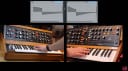 Starsky Carr Minimoog vs Poly D