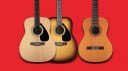 Framus Acoustic Deal on Texan and Barcelona