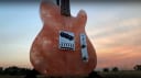 Burls Art Salt Himalayan Guitar