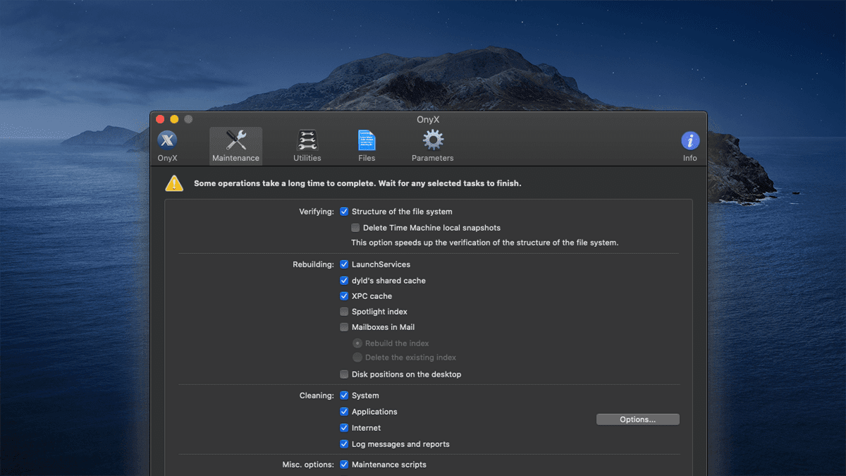 OnyX is neat way to keep your Mac in great shape