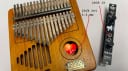 Error Instruments Kalimba