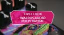First Look Walrus Audio Polychrome Analogue Flanger
