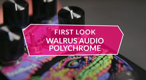 First Look Walrus Audio Polychrome Analogue Flanger