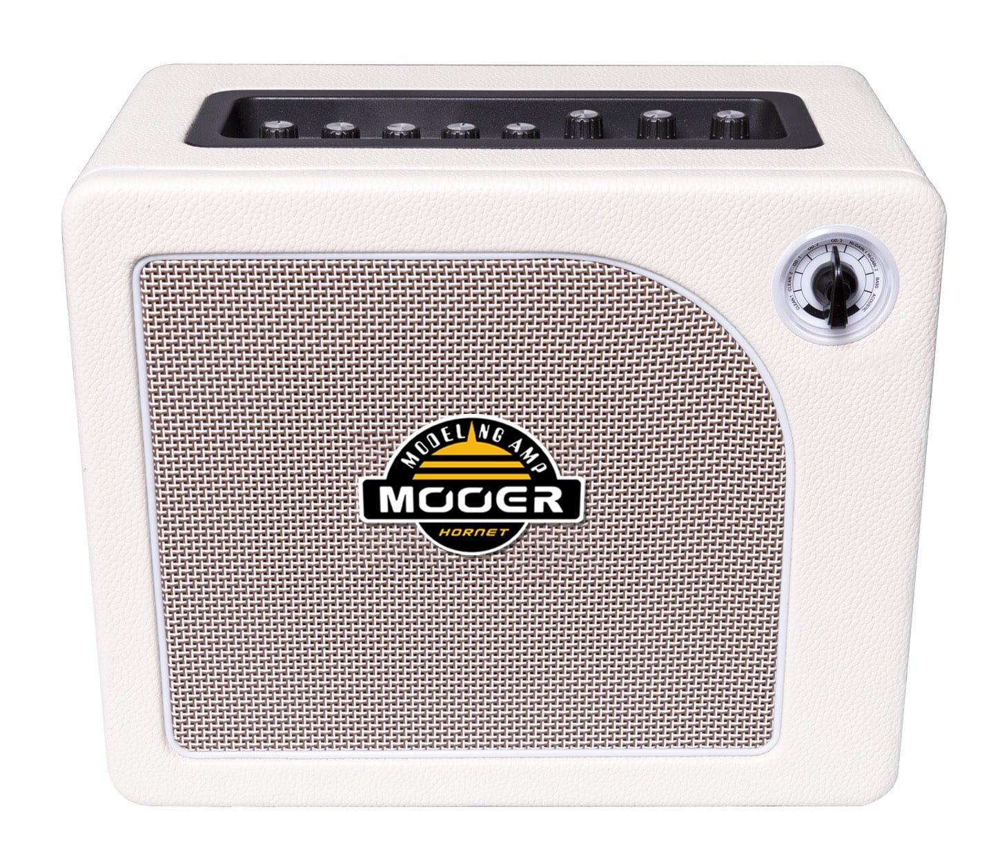 cheap modeling amp
