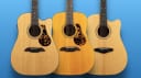 Framus Legacy Series Dreadnoughts