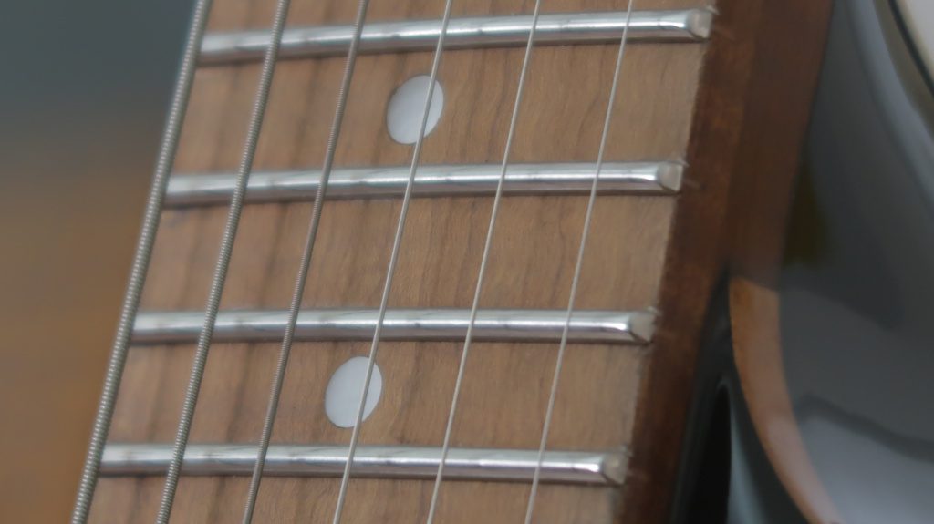 Stainless Steel frets