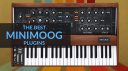 The Best Minimoog Plugins