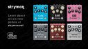 Strymon Pedal Leak