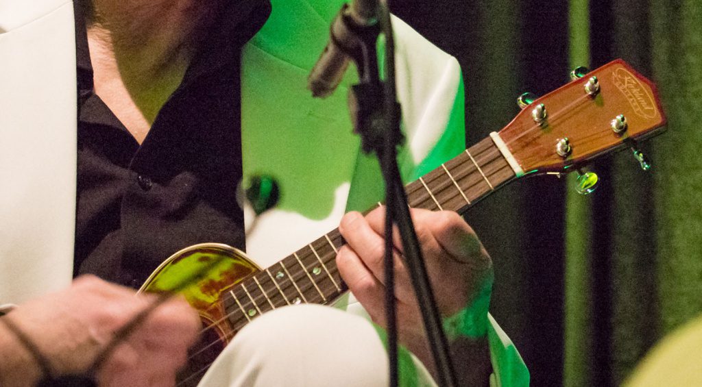 Buyer’s Guide Which Ukulele is right for you?