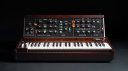 Moog Model D